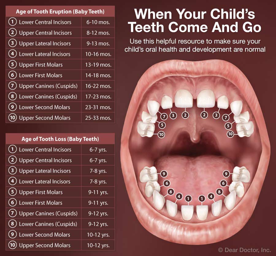 Pediatric Dentistry Dr Patrick C Creevan Livermore California